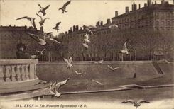 CPA Lyon Les Mouettes Lyonnaises
