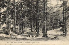 CPA Le Mont Dore Plateau du Capucin