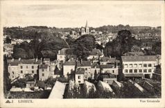 Opinión de Lisieux de la POSTAL de la VENDIMIA