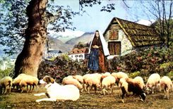 POSTAL MODERNA Bartres Bernadette pesada que guarda el perro de ovejas