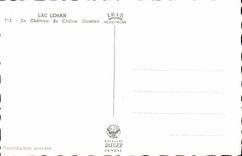 CPM Lac Leman Le Chateau de Chillon illumine