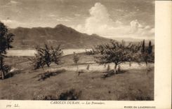 VINTAGE POSTCARD Paris Museum of Luxembourg Carolus Duran apple trees