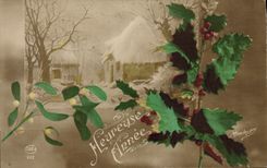 VINTAGE POSTCARD Houx Fantasy