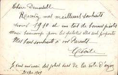 VINTAGE POSTCARD Fantasy Woman Happy New Year Hind