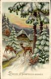 VINTAGE POSTCARD Fantasy Happy New Year Hind