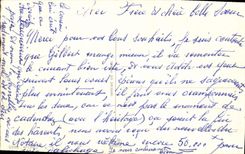 CPA Fantaisie Bonne annee