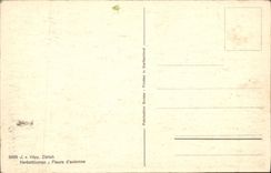 CPA Fantaisie Fleurs