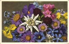 VINTAGE POSTCARD Fantasy Flowers Alpenblumem Flowers of the Alps