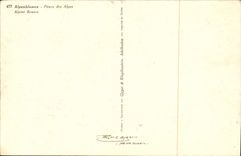 VINTAGE POSTCARD Fantasy Flowers Alpenblumem Flowers of the Alps