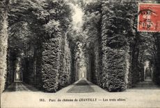 CPA Parc du Chateau de Chantilly Les Trois Allees