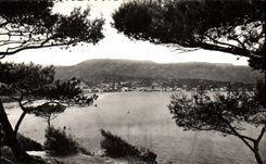 CPM Le Lavandou Vue generale