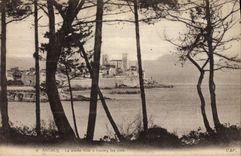 CPA Antibes La Vieille Ville a travers les Pins