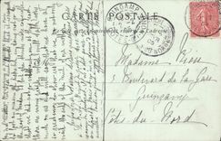 VINTAGE POSTCARD Fantasy Flowers Terstroemiacees the CAMELIA