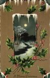 VINTAGE POSTCARD Fantasy Houx Christmas