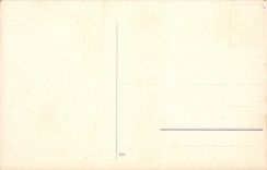 VINTAGE POSTCARD Fantasy Thicket Trees