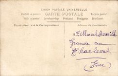 VINTAGE POSTCARD Fantasy Man Pear