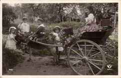 CPA Fantaisie Enfants Ane Mule 