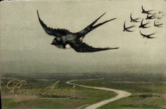 CPA Fantaisie Oiseau Hirondelle 