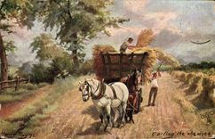 VINTAGE POSTCARD Fantasy Coach Horse