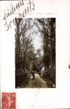 VINTAGE POSTCARD Chemin Arbres Fantasy