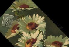 CPA Fantaisie Fleurs