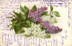 CPA Fantaisie Fleurs