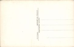 VINTAGE POSTCARD Fantasy Woman Bonen year