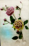 CPA Fantaisie Fleurs Roses