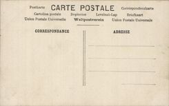 VINTAGE POSTCARD Fantasy Flowers Clover Ladybird