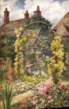 VINTAGE POSTCARD Fantasy Flowers Woman with the garden