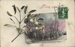 CPA Fantaisie Fleurs Gui