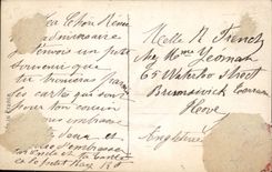 CPA Fantaisie Fleurs Santon 