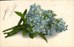 CPA Fantaisie Fleurs