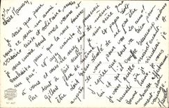 VINTAGE POSTCARD Fantasy Flowers Tulip Bird