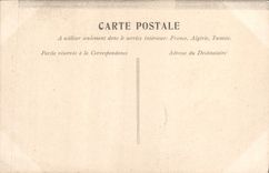 VINTAGE POSTCARD Fantasy Woman