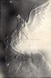 CPA Fantaisie l'aigle blesse de Napoleon 1er Militaria