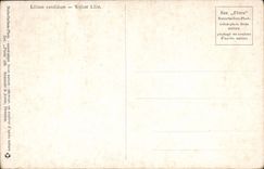 Flores de la fantasía de la POSTAL de la VENDIMIA