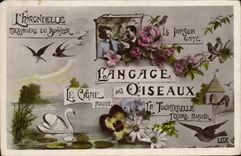 CPA Fantaisie Langage des oiseaux Cygne Tourterelle Hirondelle Tourterelle Pinson 