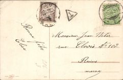 La fantasía de la POSTAL de la VENDIMIA florece palomas