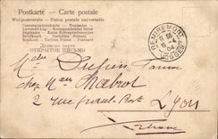 Flores de la fantasía de la POSTAL de la VENDIMIA