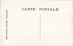 VINTAGE POSTCARD Chantecler Fantasy the day of the guinea fowl Cock Hens