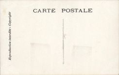 CPA Fantaisie Chantecler la nuit du rossignol Coq Poules