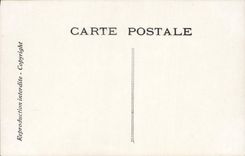 CPA Fantaisie Chantecler Le soir de la faisaneCoq Poules