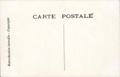 CPA Fantaisie Chantecler et ses poules Coq Poules