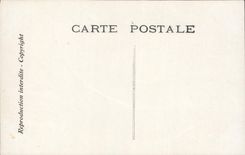 CPA Fantaisie Chantecler L'hymne au soleil Coq Poules