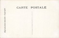 CPA Fantaisie Chantecler L'arrivee de la faisane Coq Poules