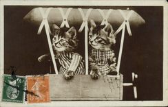 VINTAGE POSTCARD Fantasy Cat Cats Kitten