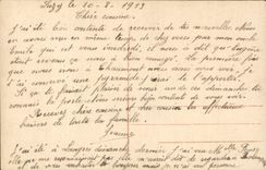 CPA Fantaisie Violette