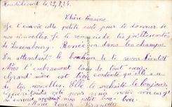 Flores de la fantasía de la POSTAL de la VENDIMIA