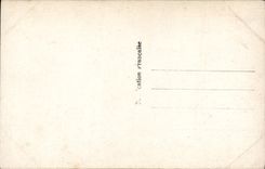 Flores de la fantasía de la POSTAL de la VENDIMIA